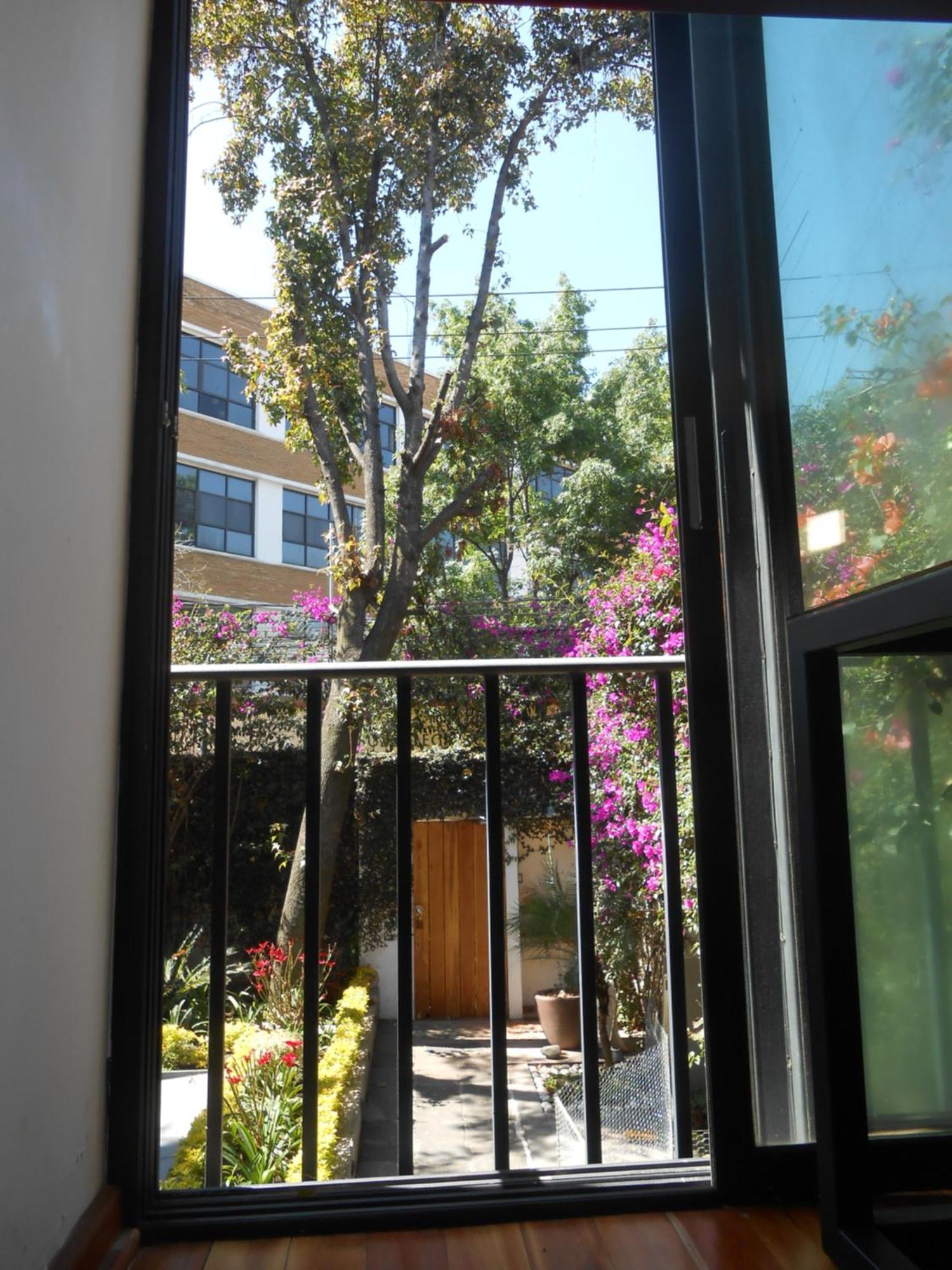 Terraza & Loft San Angel Lejlighed Mexico By Eksteriør billede