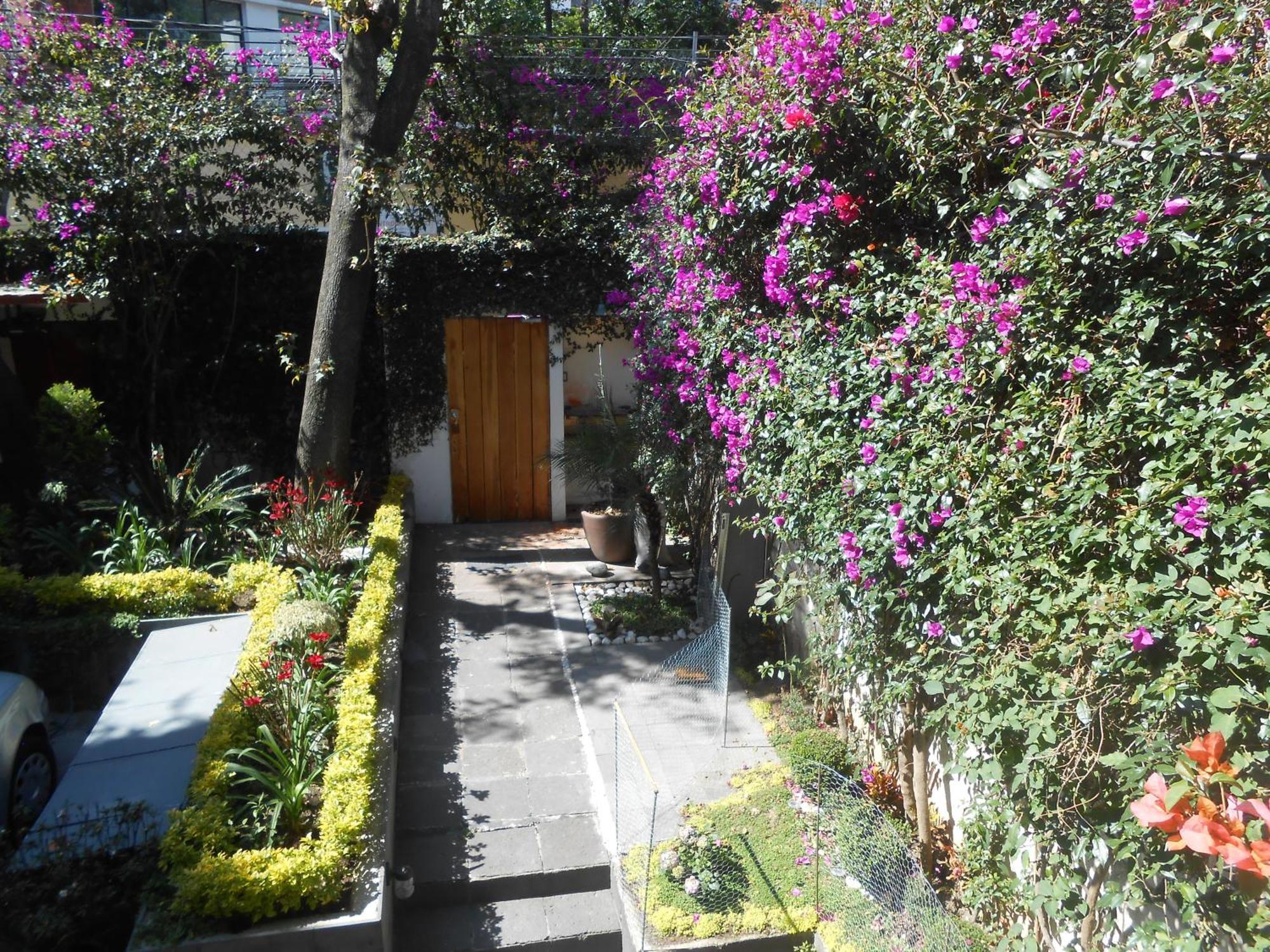 Terraza & Loft San Angel Lejlighed Mexico By Eksteriør billede