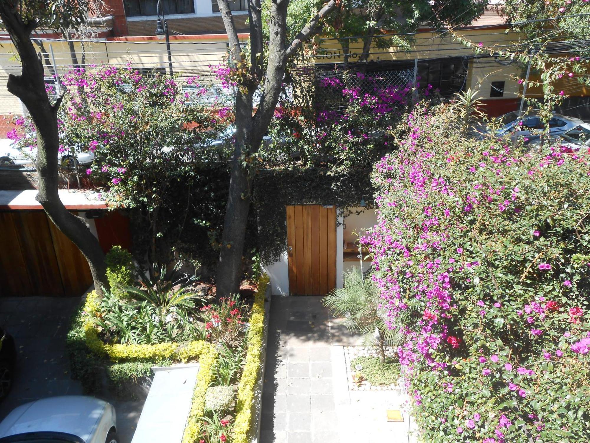 Terraza & Loft San Angel Lejlighed Mexico By Eksteriør billede