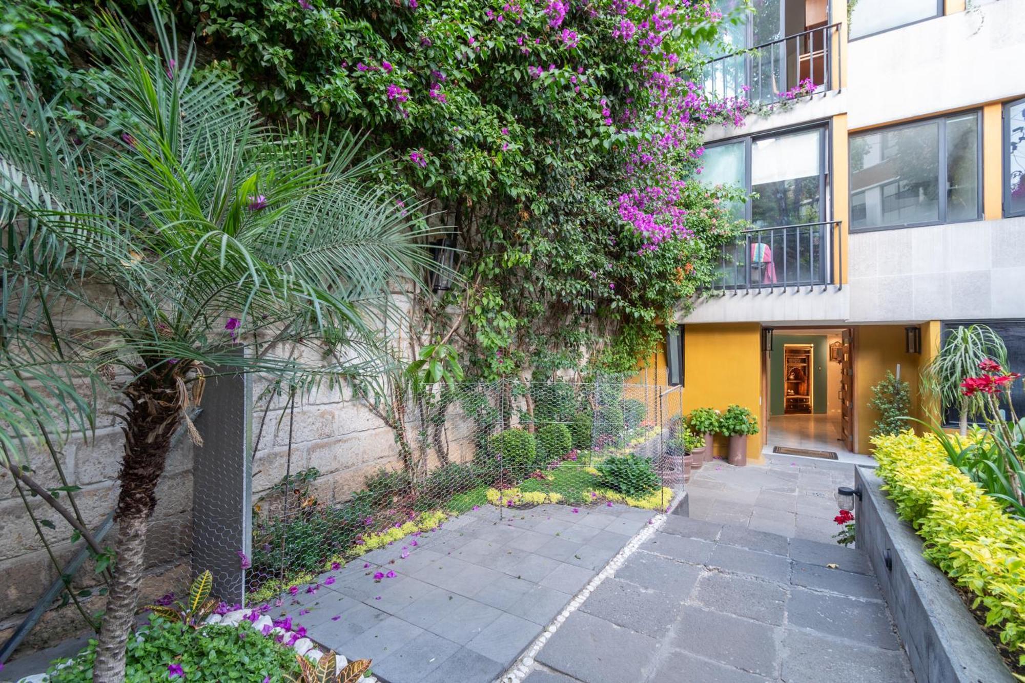 Terraza & Loft San Angel Lejlighed Mexico By Eksteriør billede